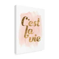 Трговска марка ликовна уметност 'la vie in Pink IV' Canvas Art by Grace Popp