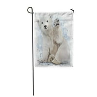 Симпатична Поларна Мечка Акварел Сликарство Меки Снег Арктикот Градина Знаме Декоративно Знаме Куќа Банер