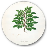 Дизајн на „Антички растителен живот xx“, кружен метална wallидна уметност - диск од 23