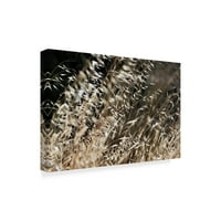 Трговска марка ликовна уметност „ветровит пченица“ платно уметност од Неверојатни