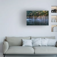 Takeshi Mitamura 'Natural Lake Autemone' Canvas Art