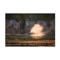 Tinефри Ц мијалник 'Орка на зајдисонцето на платното уметност