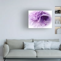 Ева Бејн „Сонувачки флорали во платно уметност во Виолетова III“