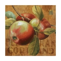 Трговска марка ликовна уметност „Сезона на јаболка I“ платно уметност од ревизија на Лиза
