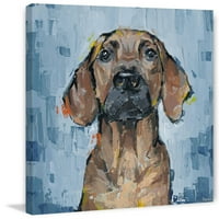 Парвез Таџ Внимателен Куче Платно Ѕид Уметност
